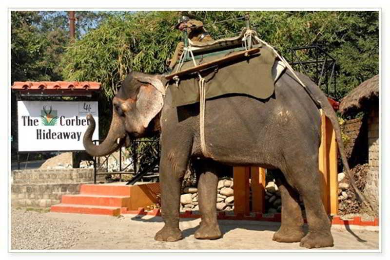 Taj Corbett Resort And Spa Uttarakhand Ramnagar  Dış mekan fotoğraf