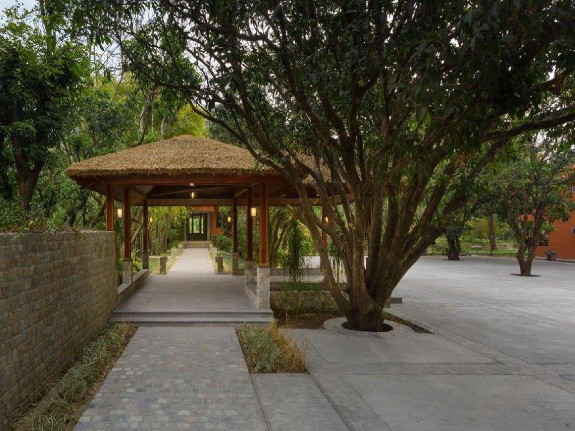 Taj Corbett Resort And Spa Uttarakhand Ramnagar  Dış mekan fotoğraf